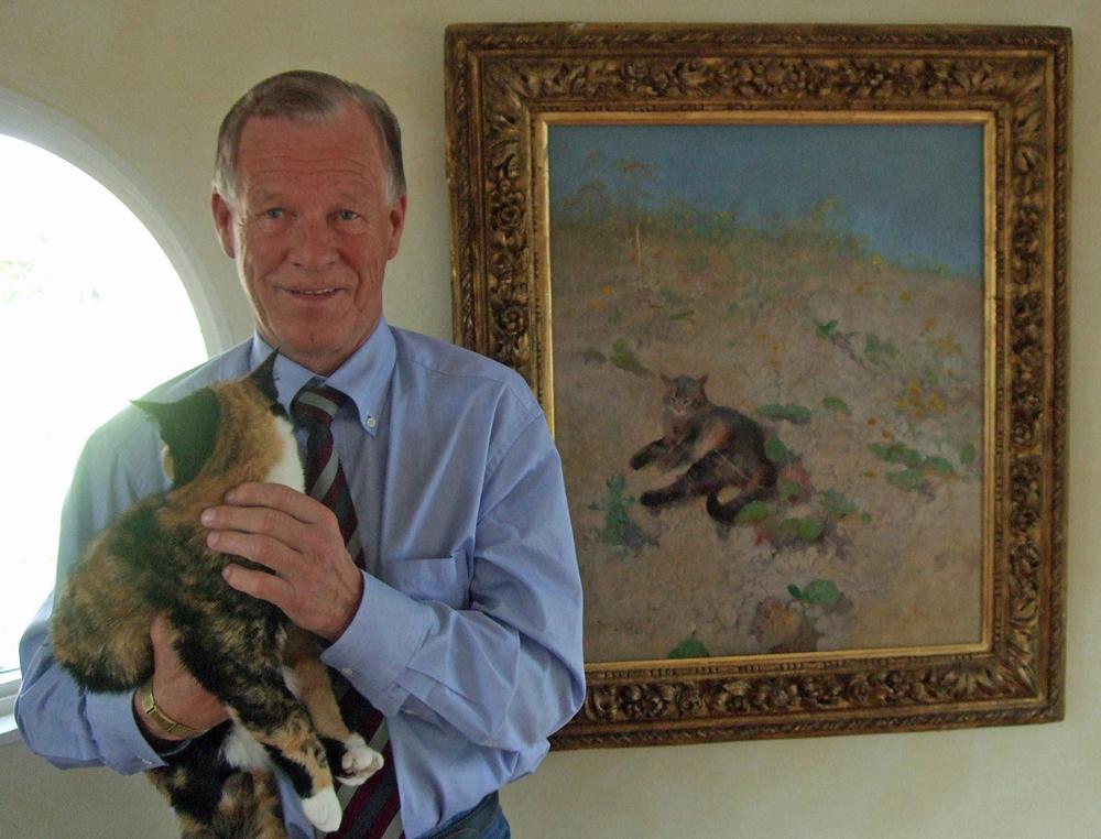 Anders Wiklöf, Åland